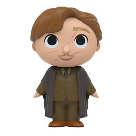 Mystery Mini Professor Lupin