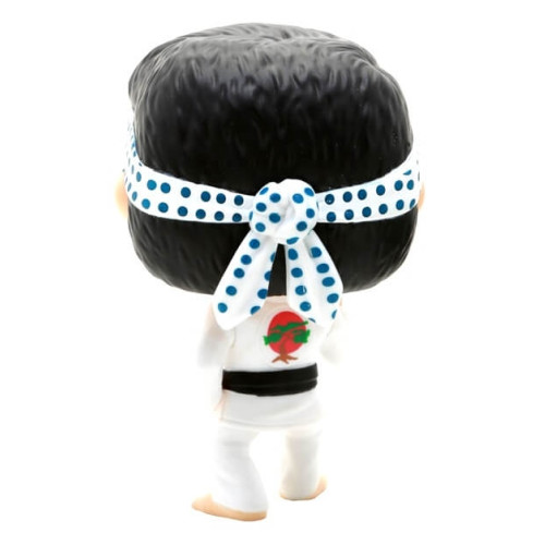 Funko Mania Funko Daniel Larusso Cobra Kai 971 Karate Kid Mr