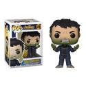 Funko Bruce Banner 419