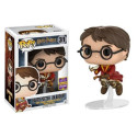 Funko Harry Potter on Broom