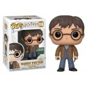 Funko Harry Potter with Two Wands