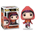 Funko Mary Sanderson on Broom