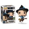 Funko Vex'Ahlia on Broom