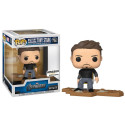 Funko Victory Shawarma: Tony Stark