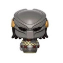 Pint Size Masked Predator