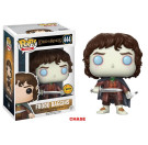 Funko Frodo Baggins Chase