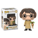 Funko Harry Potter Herbology