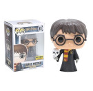 Funko Harry Potter with Hedwig