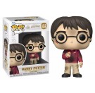 Funko Harry Potter with the Stone