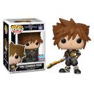 Funko Sora Guardian Form