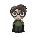 Mystery Mini Harry Potter Chamber