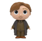 Mystery Mini Professor Lupin