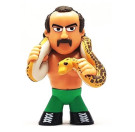 Mystery Mini Jake the Snake Roberts