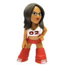 Mystery Mini Nikki Bella