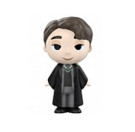 Mystery Mini Tom Riddle