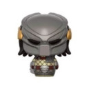 Pint Size Masked Predator