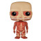 Funko Colossal Titan