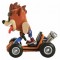 Funko Crash Bandicoot Crash Team Racing