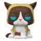 Funko Flocked Grumpy Cat