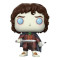 Funko Frodo Baggins Chase