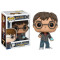 Funko Harry Potter Prophecy