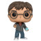 Funko Harry Potter Prophecy