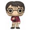 Funko Harry Potter with the Stone