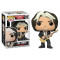 Funko Joe Perry