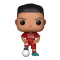 Funko Roberto Firmino