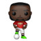 Funko Romelu Lukaku