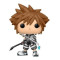 Funko Sora Final Form