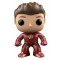 Funko The Flash Unmasked
