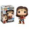 Funko Wonder Woman and Motherbox