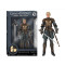 Legacy Collection - Brienne of Tarth