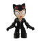 Mystery Mini Catwoman