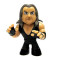 Mystery Mini The Undertaker