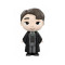 Mystery Mini Tom Riddle